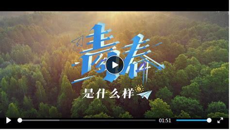 19元188g流量卡是什么套路-第1张图片-卡世界