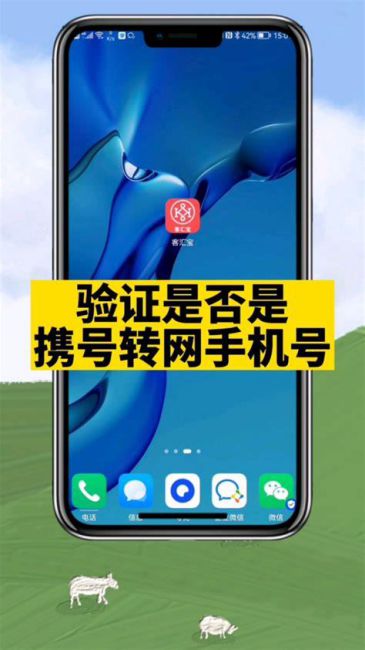 电信携号转网查询短信怎么发送到手机号上-第1张图片-卡世界