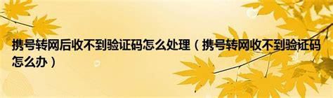 电信携号转网收不到验证码-第1张图片-卡世界