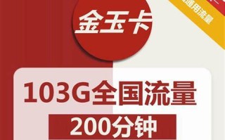 联通卡哪个卡最多流量多？揭秘联通流量王卡