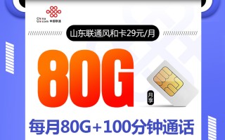 山东联通风和卡【29元80G+100分钟，只发山东】