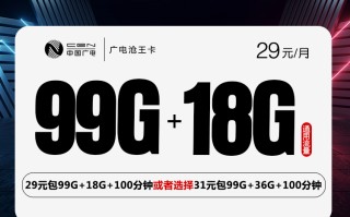 广电沧王卡【29元117G或31元135G】