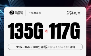广电沧正卡【29元135G或117G】