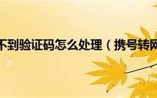 电信携号转网收不到验证码