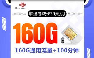 联通沧威卡【29元160G+100分钟】
