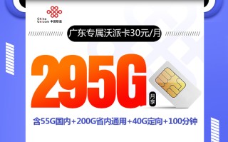 广东专属沃派卡30元295G+100分钟+会员