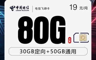 
电信飞诗卡首年19元80G流量优惠套餐