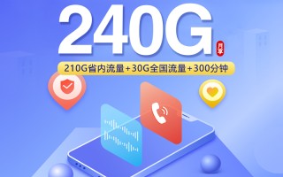 
山东联通省内专属卡28元240G流量加300分钟优惠套餐