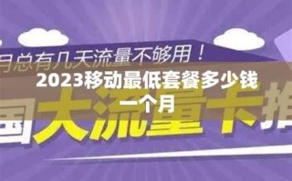 广东移动现在最低套餐是多少钱一个月