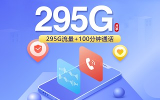 广东联通省内专属卡【20元295G+100分钟】
