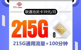 联通沧武卡【39元215G+100分钟】