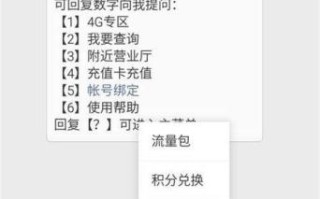 办理最多的移动卡是哪个？揭秘最受欢迎的移动套餐